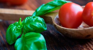Tomates y otros alimentos que no debemos guardar en la nevera