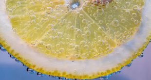 Alimentos que rejuvenecen