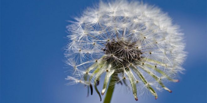 ¿Cómo nos afecta la primavera?