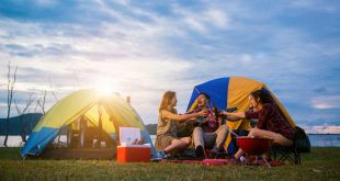 PICNIC