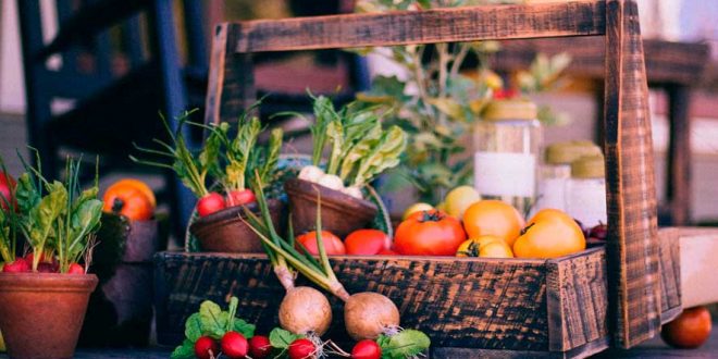 verduras crudas o cocidas